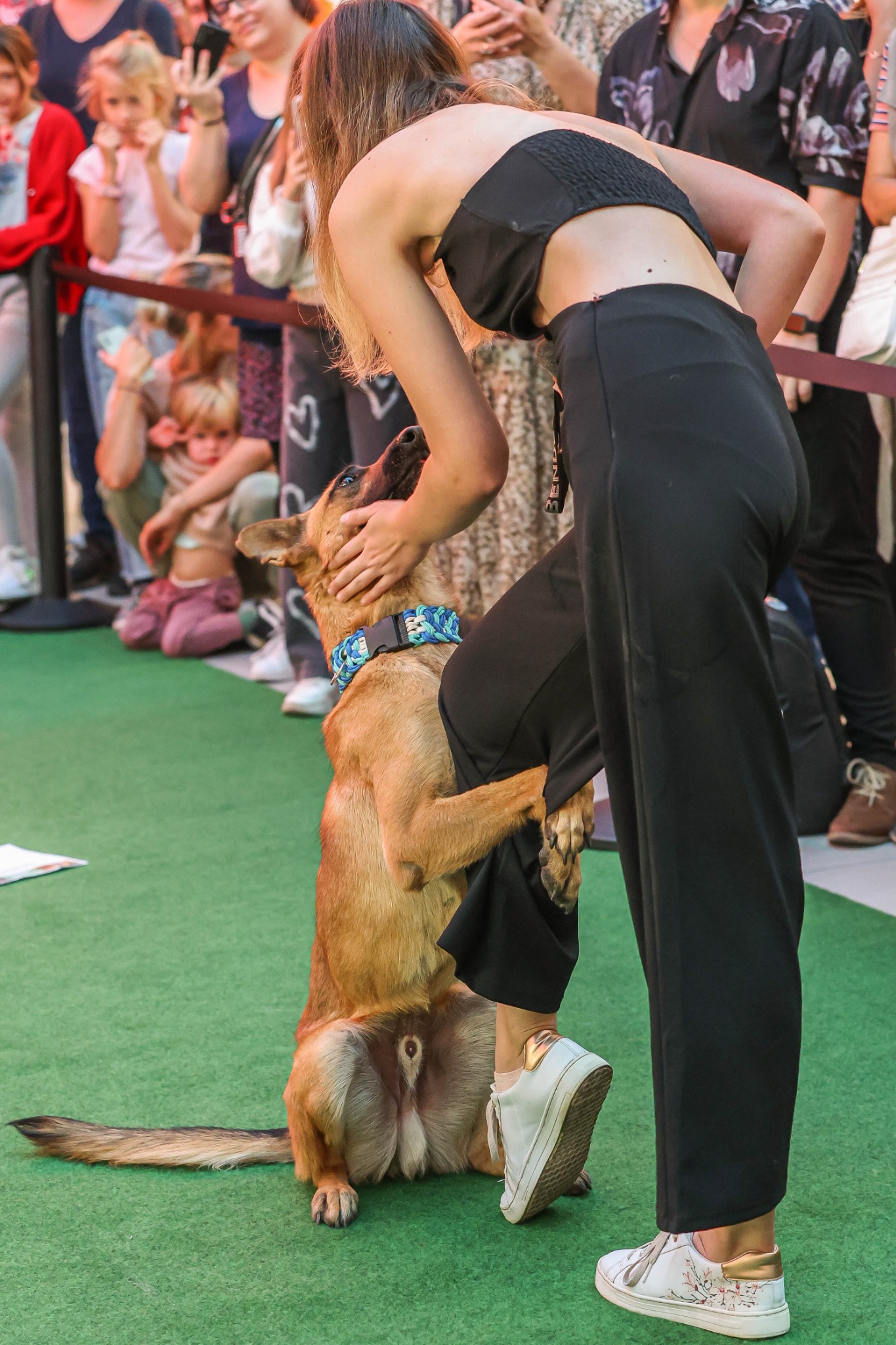 Dog Dancing bemutató