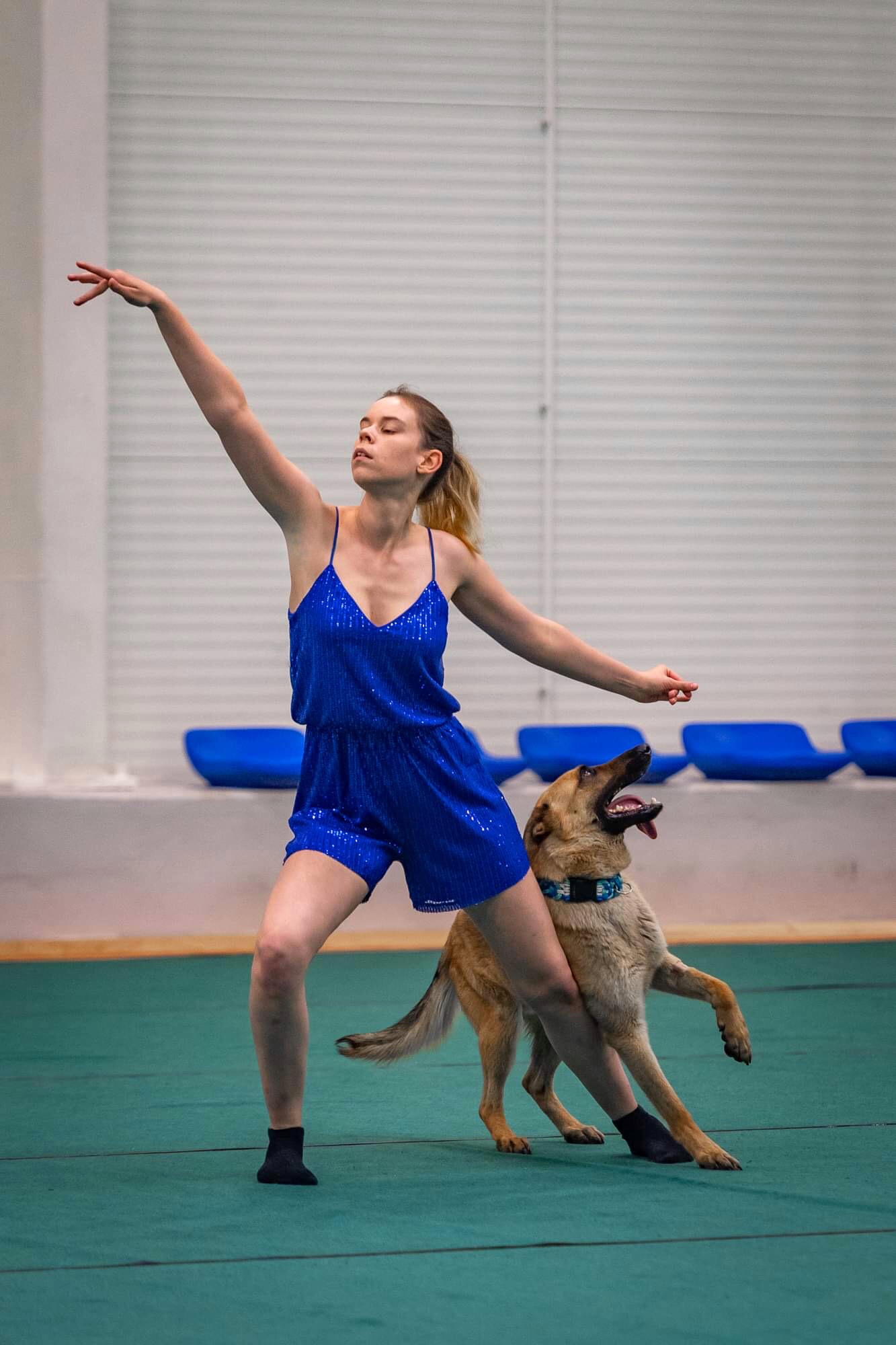 Beltéri Dog Dancing